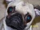 Wheelin Rev's Avatar